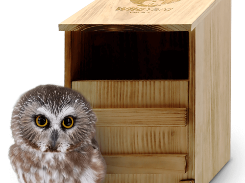 Owl Box for Yard – Outdoor Owl House for Natural Rodent Control